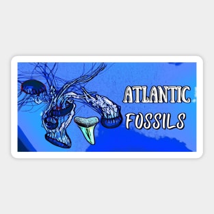 Jellyfish Underwater with Atlantic Fossils Shark Tooth Sticker